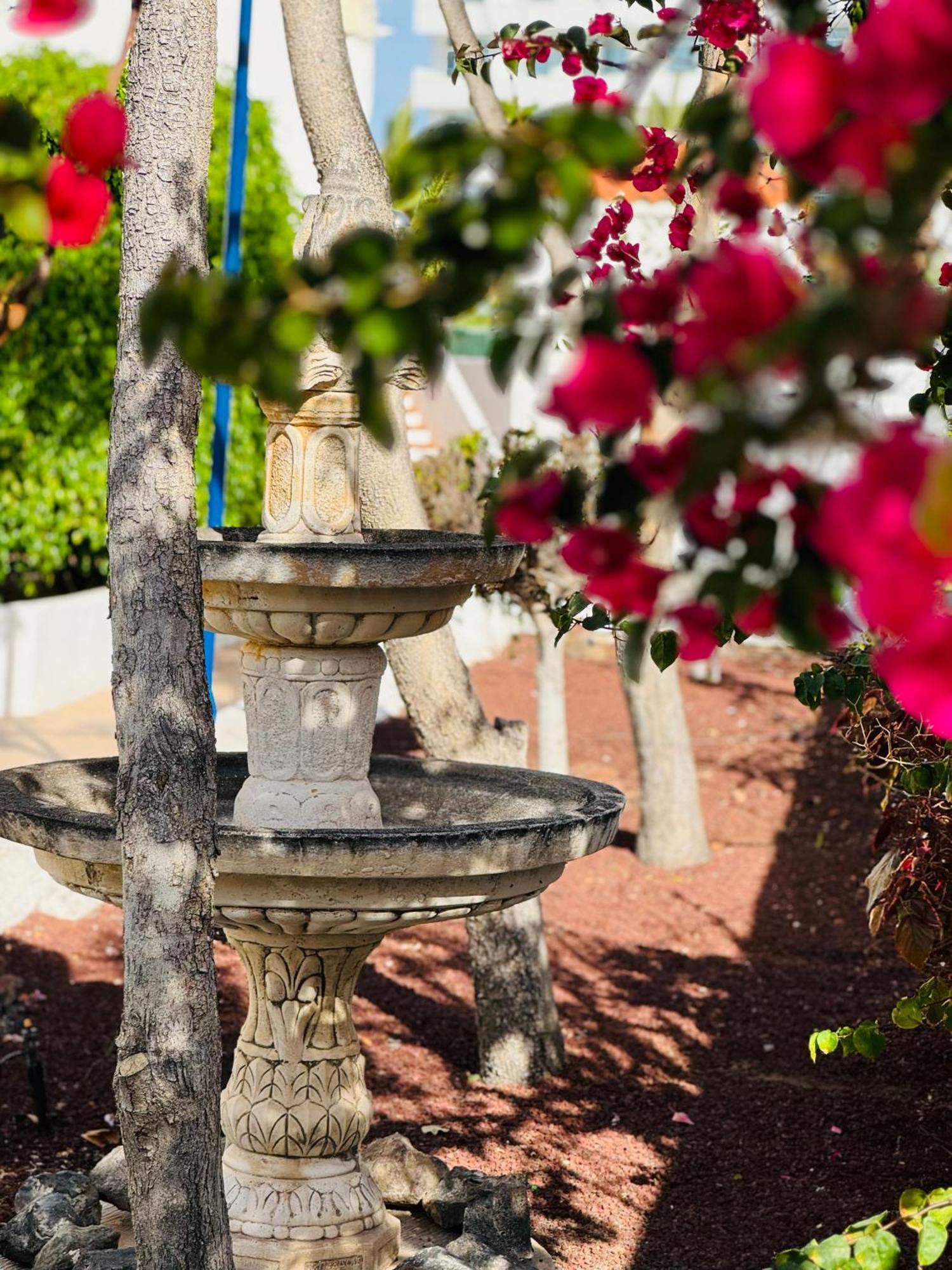 Garden City Private Apartment Costa Adeje Playa Feñabe Eksteriør billede